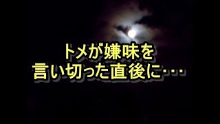 【スカッと】嫁一家を馬鹿にするトメ「本家の跡取り娘は大変ね～あんなＦラン馬鹿大学に行っちゃってｗ」→言い放った次の瞬間、トメが･･･　姑、ヨメトメch