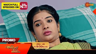 Anu Ane Nenu - Promo |18 May 2024| Telugu Serial | Gemini TV