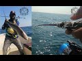 Seahawk Explorer Ultralight Rod - Fishing in Abu Dhabi, UAE | SEAHAWK