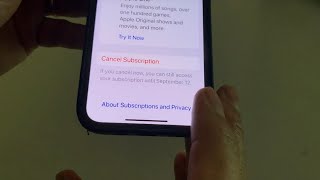 WHAT THE TECH? How to find & cancel subscriptions you're forgotten about