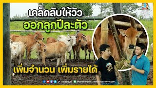 เผยเคล็ดลับ 