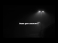 nicole dollanganger - have you seen me? // lyric video