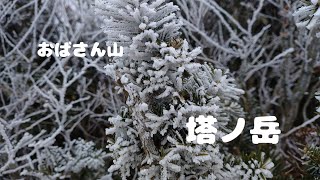 塔ノ岳　表尾根から大倉尾根