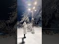 你的城市下雪了吗 下雪后的庐山美仙了！白雪皑皑犹如童话世界 雪景美如画 庐山雪景