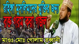 Bangla Waz Golam Rabbani Waz গোলাম রব্বানী পঞ্চগড় islamic waz tv WazTv Bangla রহিঙ্গা মুসলিম মুক্তি