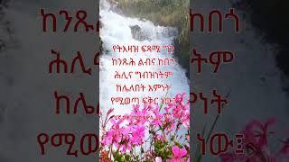 1ኛ ወደ ጢሞቴዎስ  1 | የእግዚአብሔር ቃል | ጥቅሶች | የመጽሐፍ ቅዱስ ጥቅሶች |መጽሐፍ ቅዱስ  | ሁሌም ሊታወሱ የሚገባቸው|  #biblequotes |