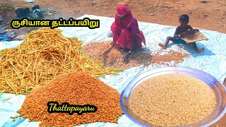 தட்டப்பயறு இப்படி செஞ்சு வச்சுக்கோங்க l thattapayaru store seivathu eppadi, thattapayaru,traditional