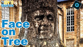 How to Put a Face on a Tree with Photoshop Elements