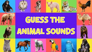 Guess The Animal Sounds For Kids | 4K