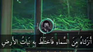 Quran Kareem | Islamic Quran WhatsApp status | Islam Sobhi