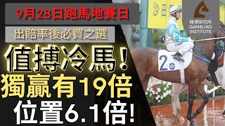 【賽馬貼士】9月28日 值搏冷馬！｜獨贏有19倍 位置都有6.1倍！值得一搏！