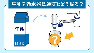 【トリビア】少し気になる…雑学ネタのクイズに挑戦してみよう！