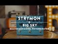 Strymon Big Sky Multidimensional Reverberator | Reverb Demo Video