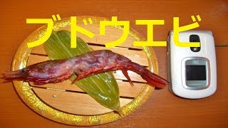 【北海道観光】幻の海老「ブドウエビ」を食べてね　♪