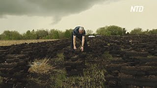 Добыча торфа в Ирландии: древнее ремесло или вред экологии