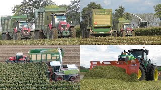 Chopping corn with Claas \u0026 MF