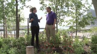 GardenSMART Episode 3205 Brooklyn Bridge Park