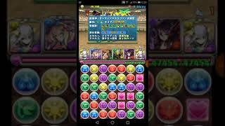 【パズドラ】1月チャレダン8ノーコンクリア！