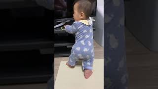 【生後8ヶ月】つかまり立ち。倒れそうで倒れない　#shorts #baby