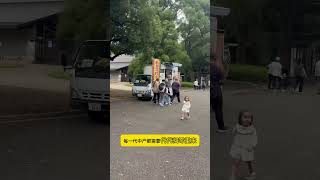 #剑龙野谈 #观点分享 #透过现象看本质 阶层的不断跃升和阶层的不断跌落，形成循环周而复始