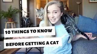 10 things I WISH I knew BEFORE getting a cat/kitten!