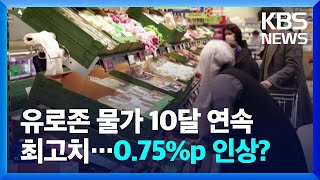 유로존 인플레이션 10개월 연속 최고치 경신…ECB도 ‘자이언트스텝’ 갈까 / KBS  2022.09.01.