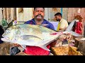 KASIMEDU 🔥 SPEED SELVAM | BIG TREVALLY FISH CUTTING VIDEO | IN KASIMEDU | FF CUTTING 🔪