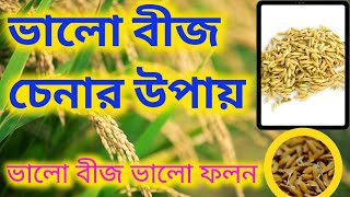 ভালো বীজ চেনার উপায় ll ভালো বীজ ভালো ফলন #amon #khorif #rice