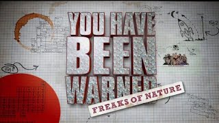 "YOU HAVE BEEN WARNED" INTRO