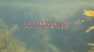 葛登支ってどんなトコ？（概要欄リンクあり）