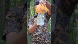 Amazing king coconut drink | favorite healthy drink | තැඹිලි මෙහෙම බීලා තියෙයිද 😍🍹