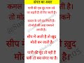 संगत का असर shorts shortsfeed viralshortfeeds trending motivation viral