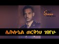 tizita ze arada በታህሳስ 19953ቱ የመንግሥት ግልበጣ ሙከራ ከተሳተፉት መካከል ሌ ኮሎኔል ወርቅነህ ገበየሁ በተፈሪ ዓለሙ teeferi alemu