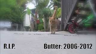 R.I.P Butter