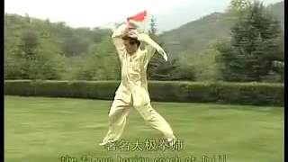 陈氏太极拳单刀 陈正雷 - Chen Zhenglei Chen style Tai Chi Single Broadsword (VCD)