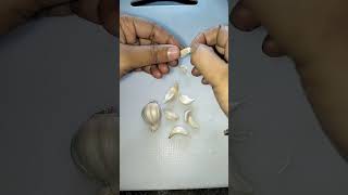 রসুন খেলে সর্দি জ্বর কাজ ভালো হয় || Cold and fever solution garlic @zannatcooking