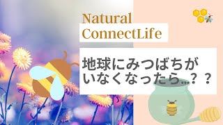 地球にみつばちがいなくなったら…？？　NaturalConnectLife