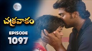 Chakravakam telugu serial all episodes star plus