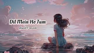 Dil Mein Ho Tum - (Slowed × Reverb) || Why Cheat India 🎞 || Dil Mein Ho Tum Lofi Music 🎶