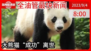 中国新闻09月04日08时：23岁大熊猫“成功”在兽舍内死亡！系顶流熊猫“花花”之母