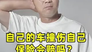 自己的车撞伤自己，保险会赔吗？ 保险 车险 车险小知识 买车那点事儿 抖音汽车人共创计划