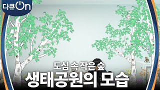 도심 속 작은 숲, 생태공원을 품다 [다큐ON-Docu ON] | KBS 231216 방송