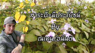 #สาระดี=มีประโยชน์ By #ณเทน มีดีกว่าที่คุณคิด #ต้นต้อยติ่ง #สมุนไพรไทย