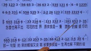 酒醉的蝴蝶 主歌教唱 唱歌 歌唱 教學 蕭佩茹老師 蕭老師 孫藝琪