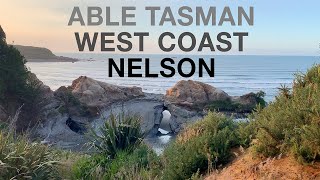Road Trip VLOG: Able Tasman / Nelson / West Coast - New Zealand January 2020