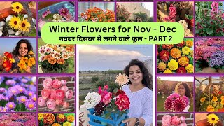 Winter Flowers for November December Part 2 | अपने बगीचे को फूलों से भरो #flowerlover