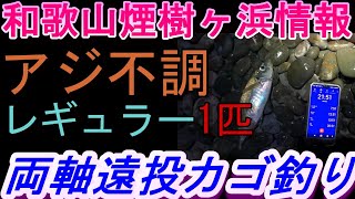 01-31　煙樹ケ浜釣り情報・実釣編