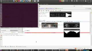 Iris position detection