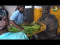 silage making in kannada ಈ ಸೈಲೆಜ್ ನಿಂದ ನಮ್ಮ ಶೆಡ್ ನಲ್ಲಿ ದಿನಕ್ಕೆ 200 ಲೀಟರ್ ಹಾಲು