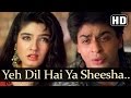 Yeh Dil Hai Ya Sheesha (HD) - Shahrukh Khan & Raveena Tandon - Yeh Lamhe Judaai Ke Songs